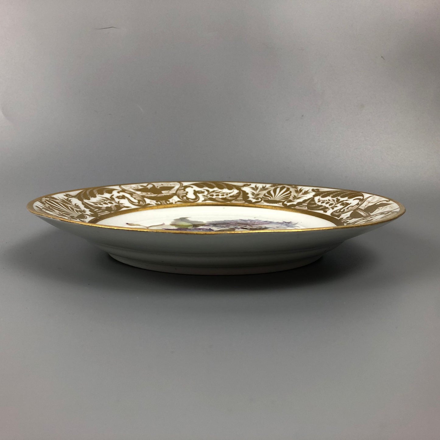 A Quaker Pegg Derby botanical plate with Great Blue-bottle study c.1813-15.