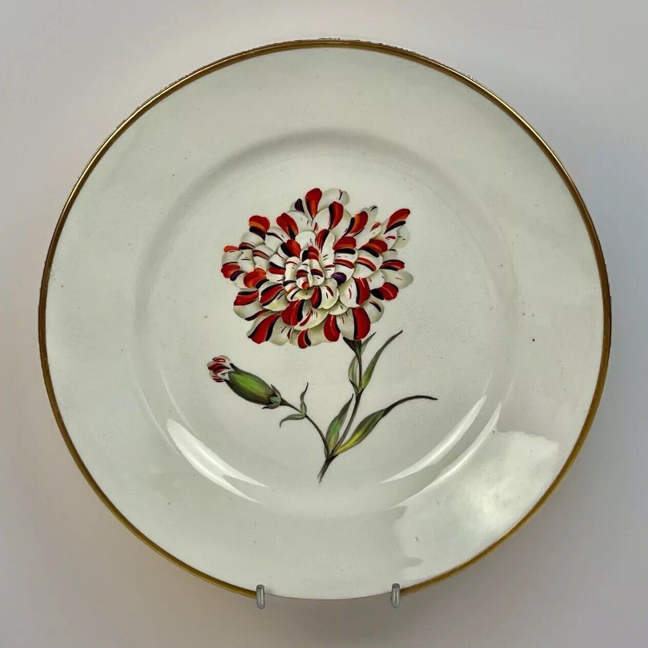 Quaker Pegg Derby plate with "Scarlet Bizarre Carnation" study. c.1813-15.