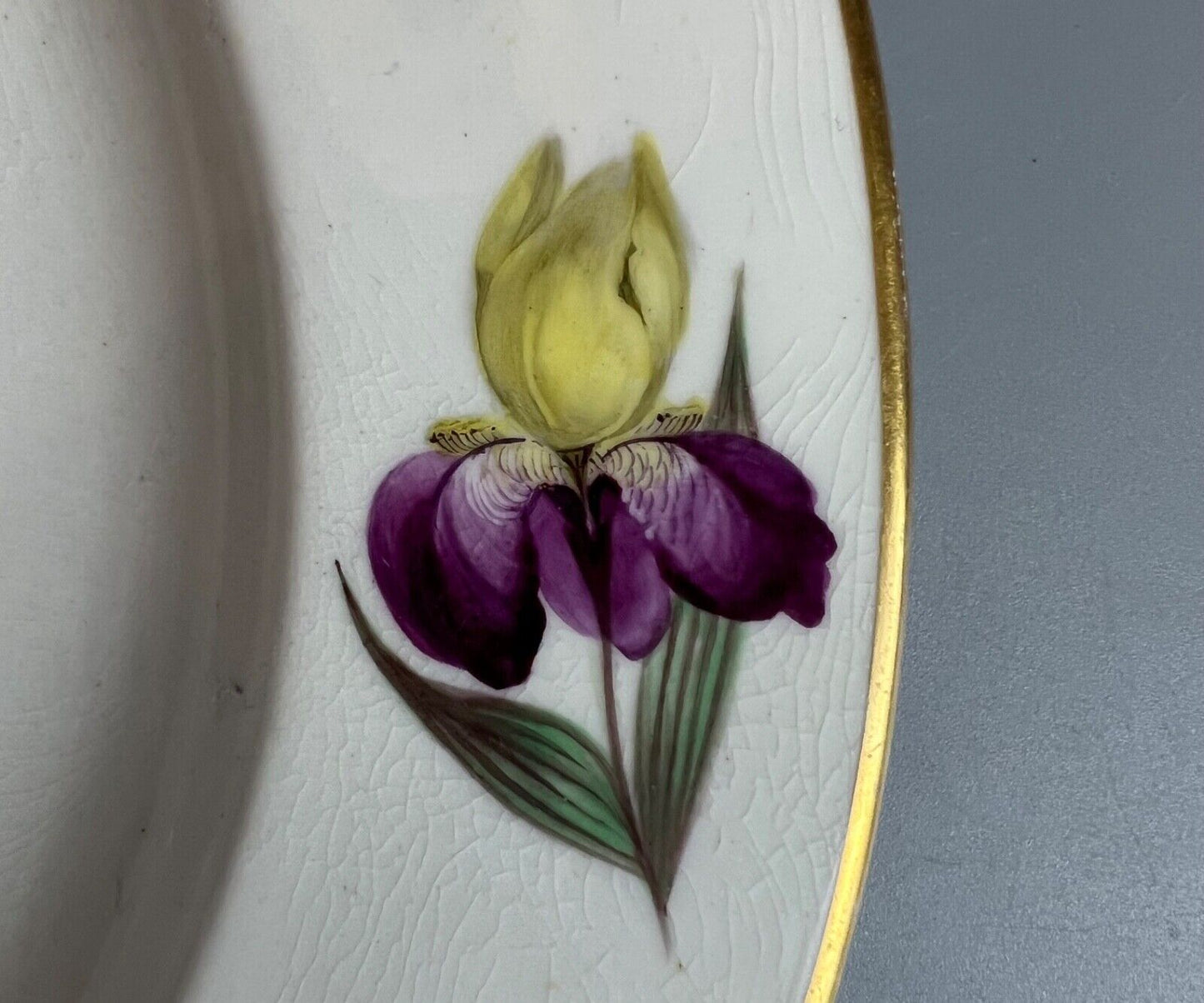 A fine c.1820 Derby floral plate in the style of Leonard Lead (1787-1869).