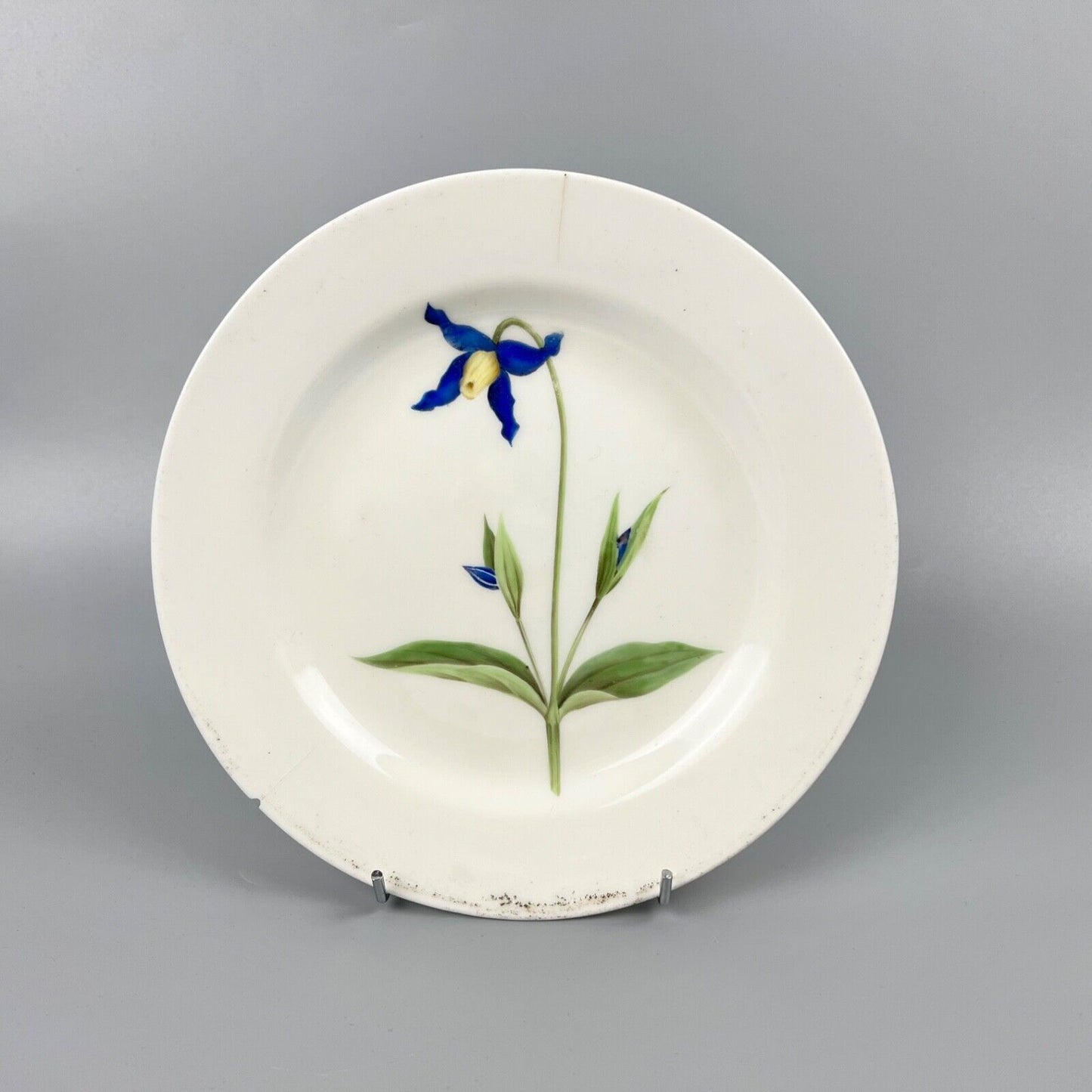 A Swansea porcelain duck egg body plate painted with "Virgin's Bower". c1815