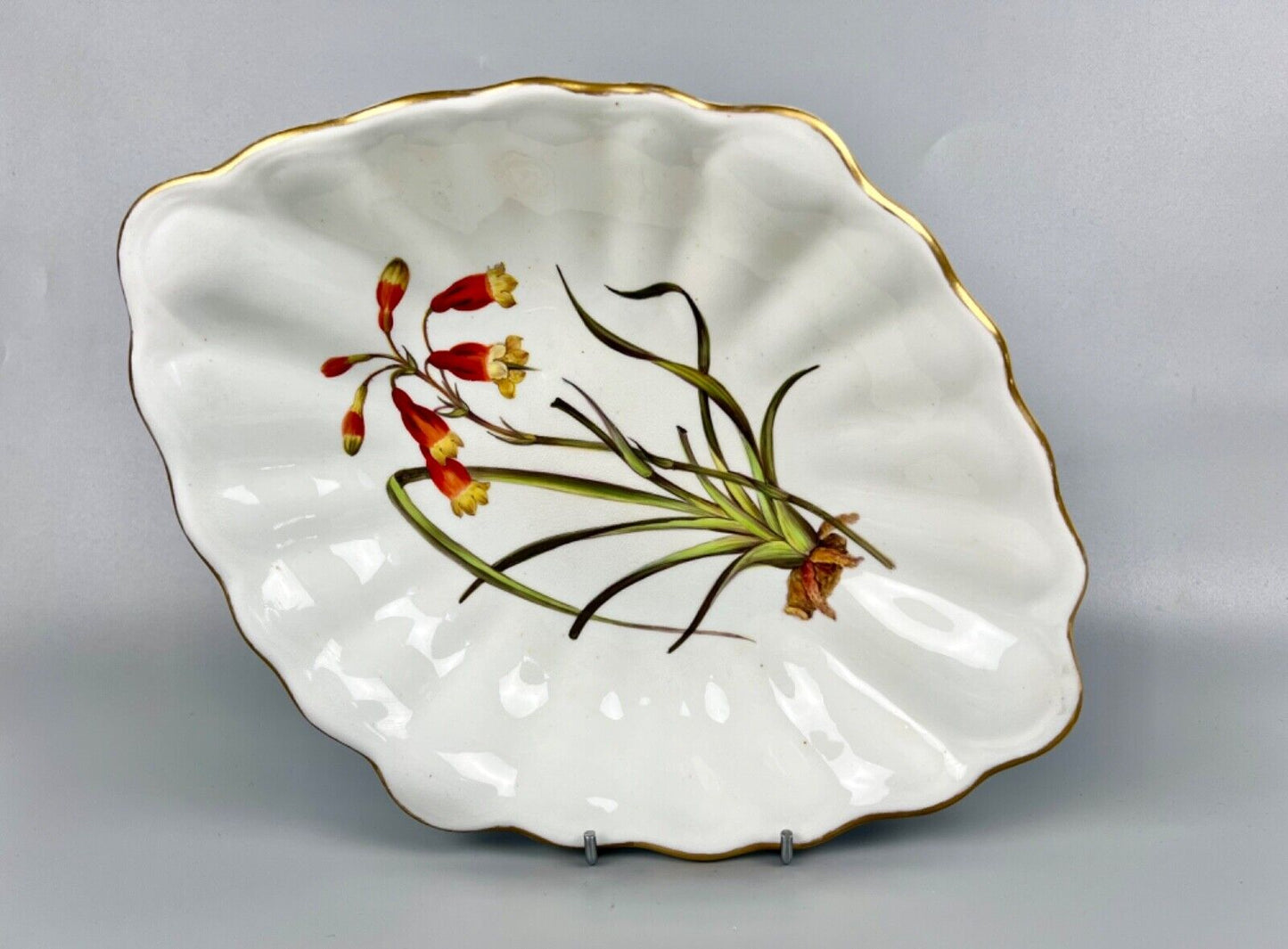 "Quaker" Pegg-painted Derby Botanical "Scarlet Blandfordia" Dessert Dish c.1815