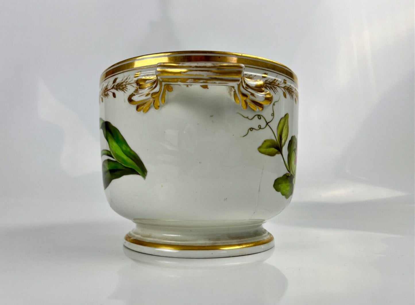 A superb Derby Quaker Pegg pattern 392 botanical painted ice pail. c.1815