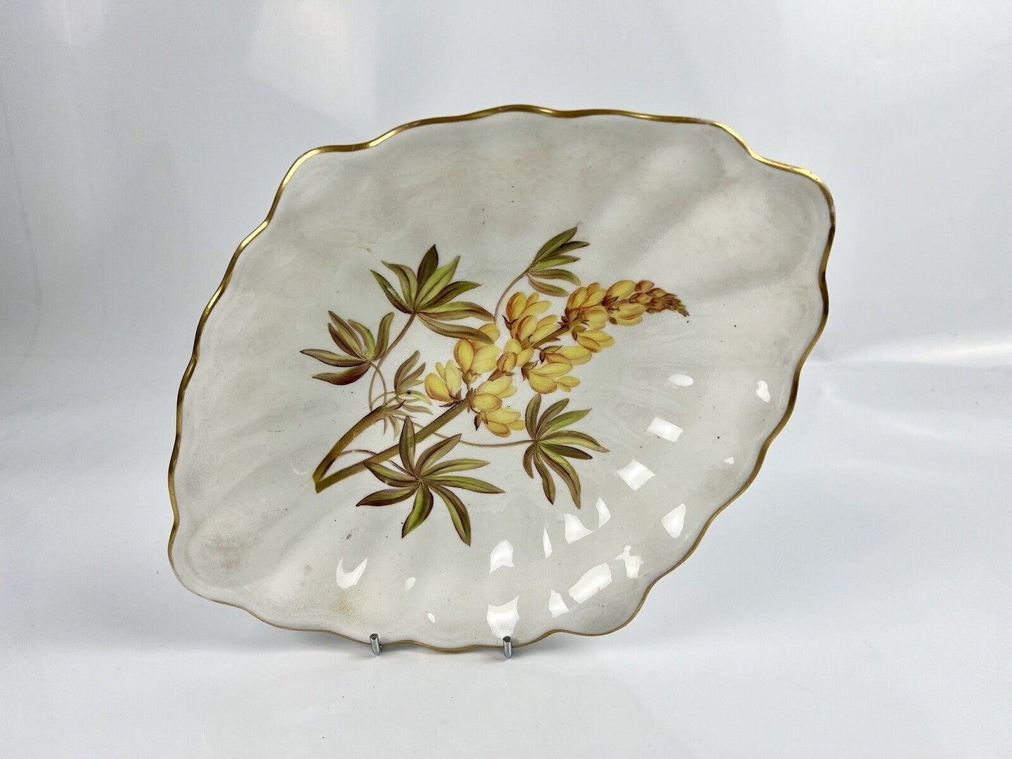 A Derby Botanical "Yellow Lupin" Painted Dessert Dish c.1815