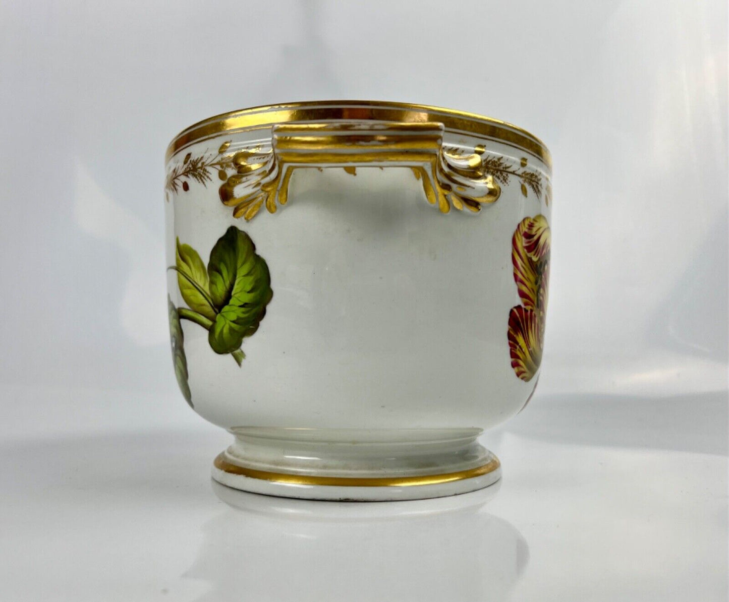 A superb Derby Quaker Pegg pattern 392 botanical painted ice pail. c.1815