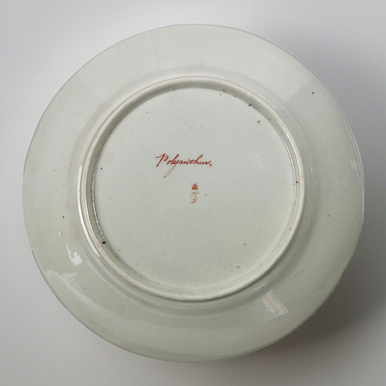 Quaker Pegg Derby botanical plate with 'Polyanthus" study c.1813-15.