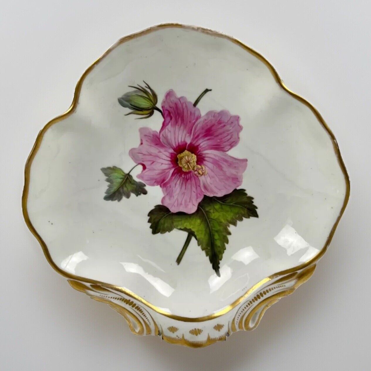 A "Quaker" Pegg Derby Botanical "Marsh Hibiscus" Painted Shell Dish c.1815