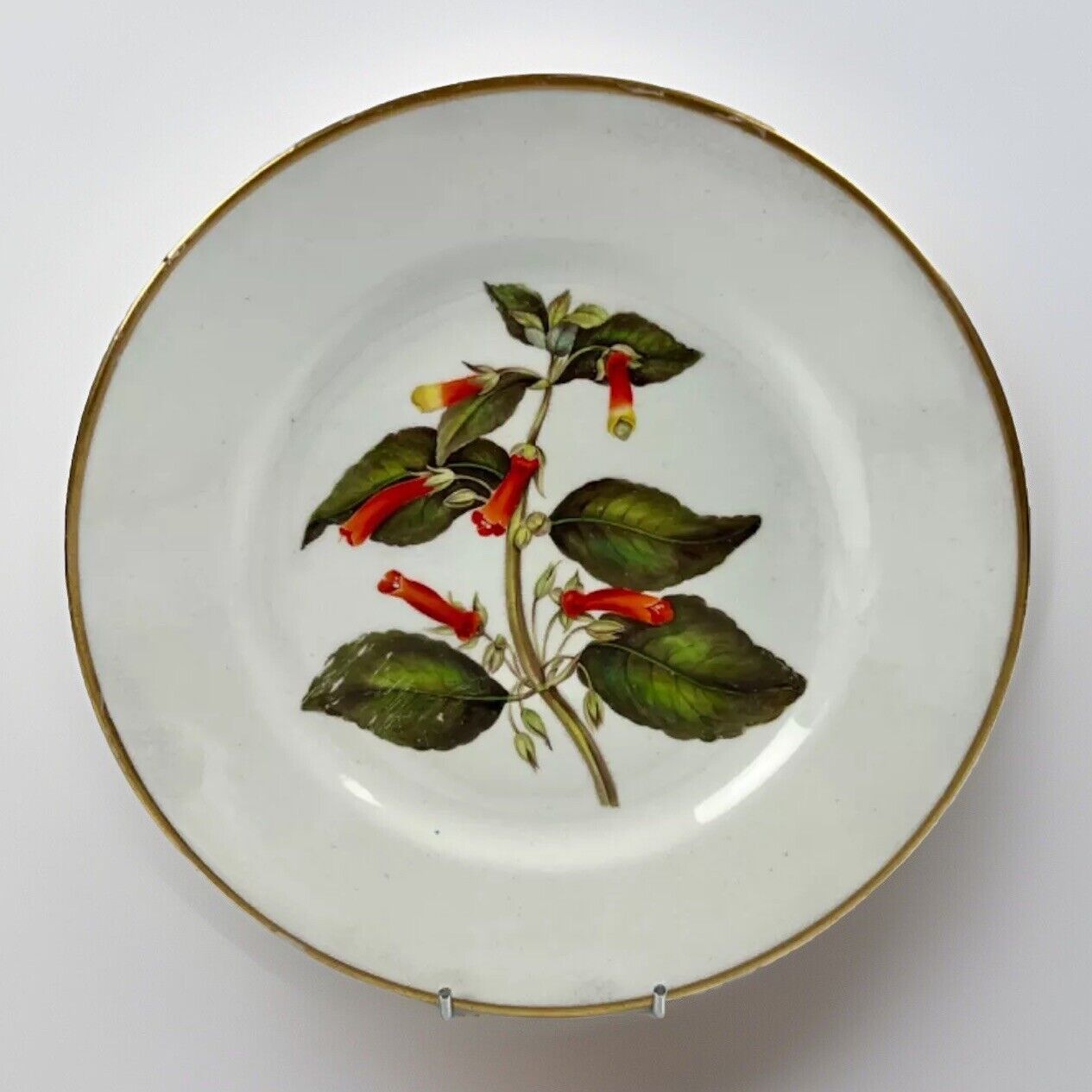 A Quaker Pegg Derby botanical plate with 'New Brazil Gesneria" study c.1813-15.