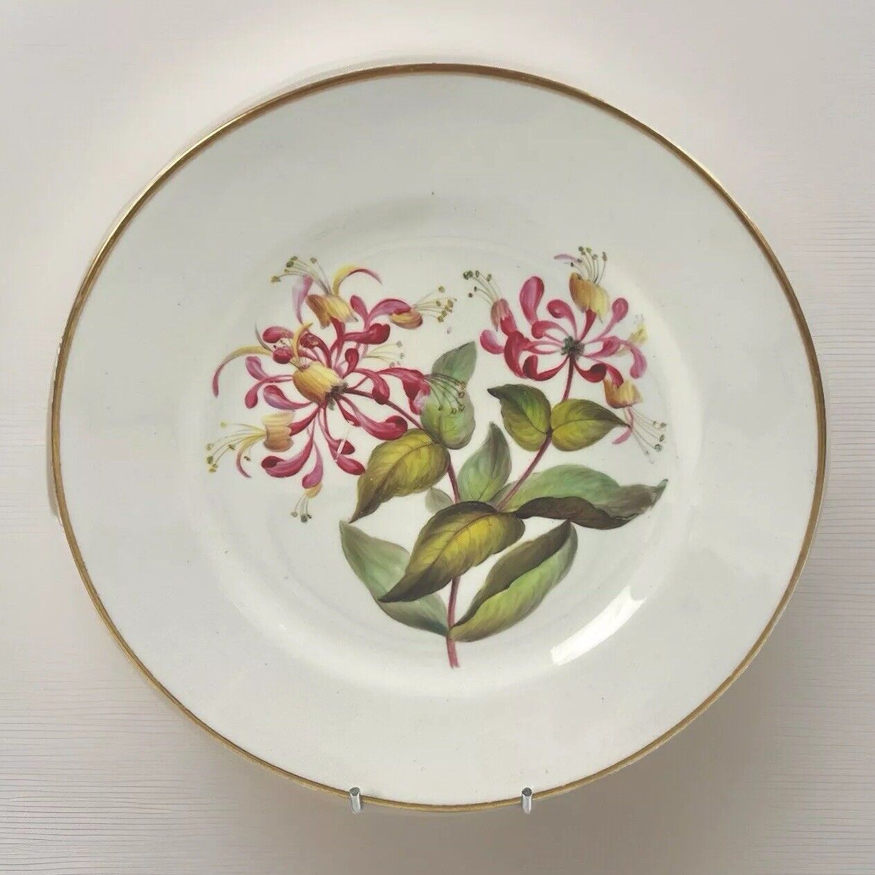 A Quaker Pegg Derby botanical plate with Dutch Honeysuckle study c.1813-15.