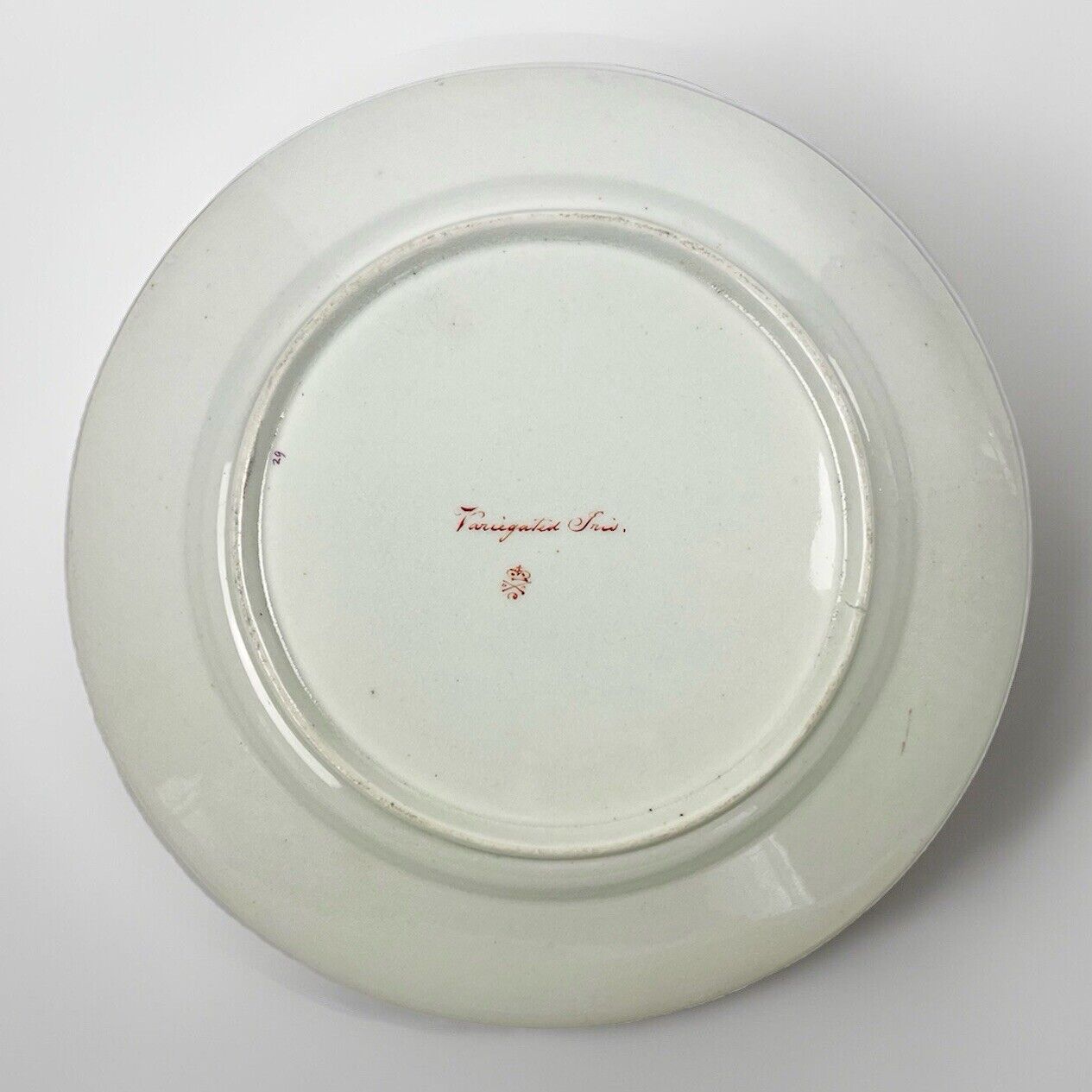 "Quaker" Pegg Derby Botanical Plate With "Variegated Iris" Study. c.1813-15.