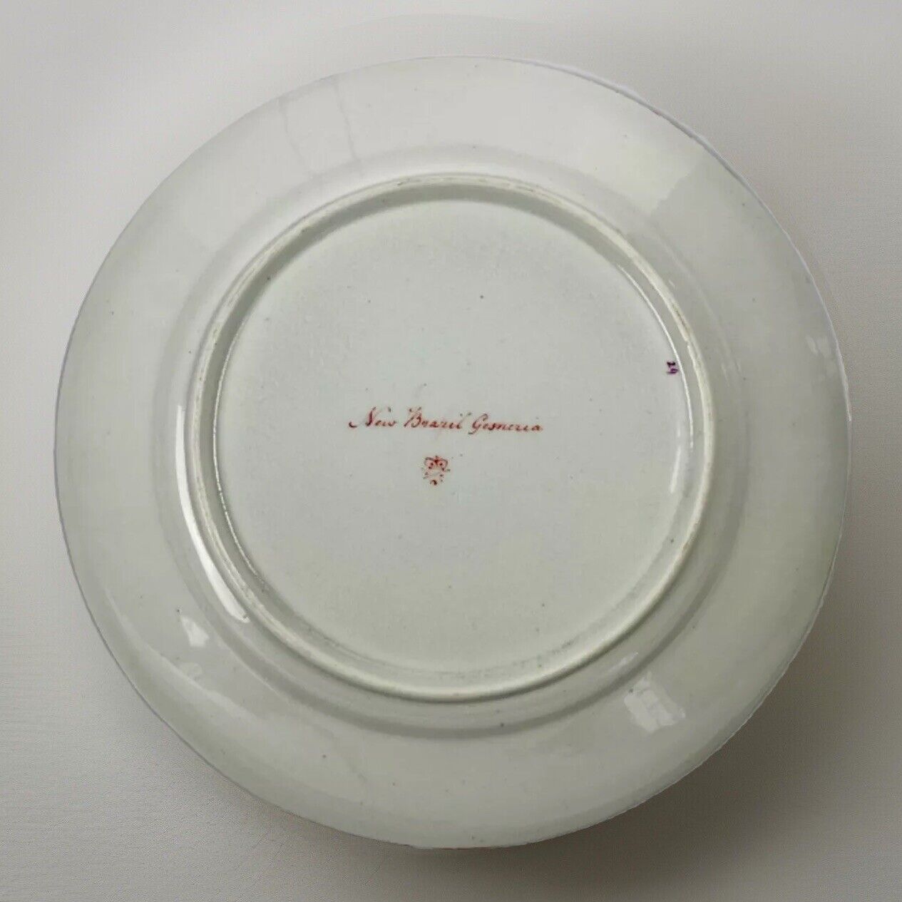 A Quaker Pegg Derby botanical plate with 'New Brazil Gesneria" study c.1813-15.