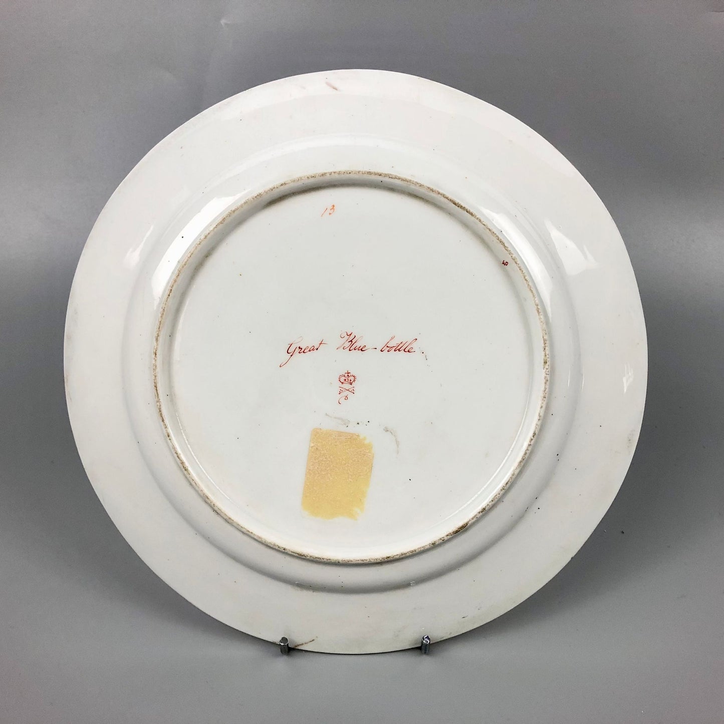 A Quaker Pegg Derby botanical plate with Great Blue-bottle study c.1813-15.