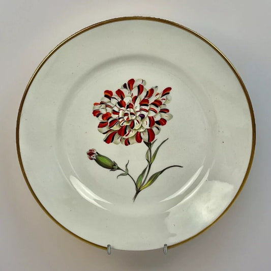 Quaker Pegg Derby plate with "Scarlet Bizarre Carnation" study. c.1813-15.