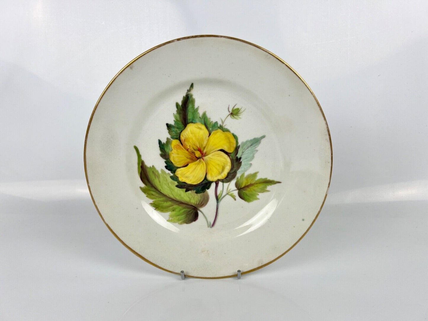 Quaker Pegg Painted Derby Plate With "Prickly Seeded Pavonia" Study. c.1813-15.