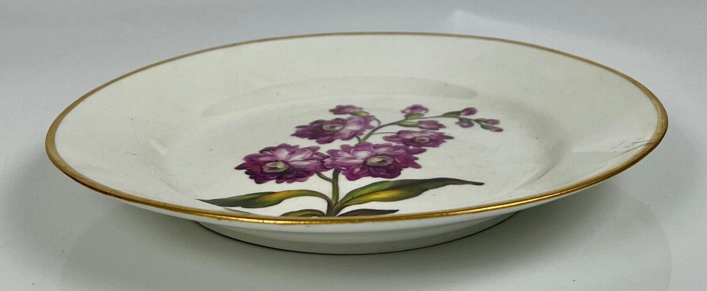 "Quaker" Pegg Derby Botanical Plate With "Purple Tenweeks Stock" Study. c.1815.