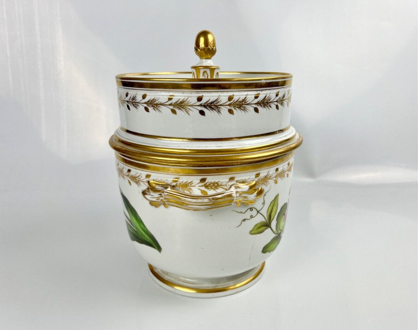 A superb Derby Quaker Pegg pattern 392 botanical painted ice pail. c.1815
