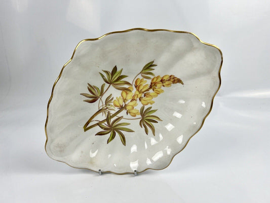 A Derby Botanical "Yellow Lupin" Painted Dessert Dish c.1815