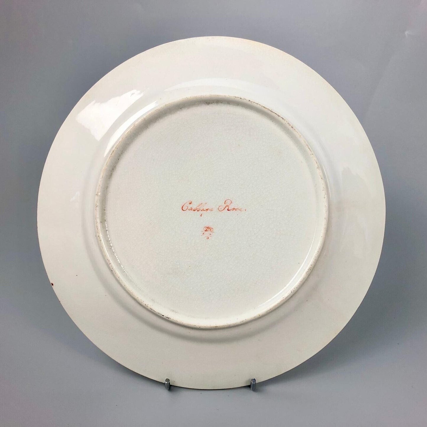 Quaker Pegg Derby botanical plate with "Cabbage Rose" study c.1813-15.
