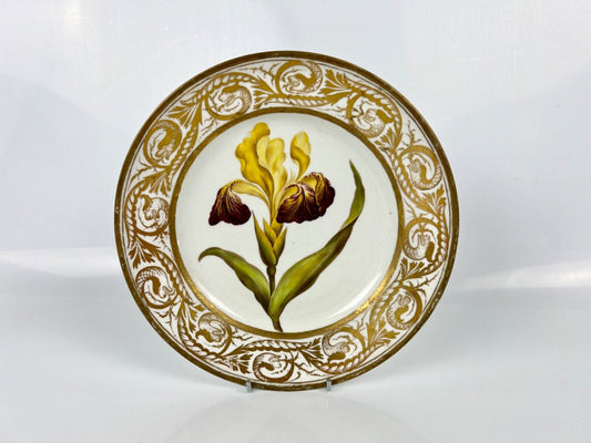 A Superb Quaker Pegg Painted Derby Plate With  "Iris" Study. c.1813-15.