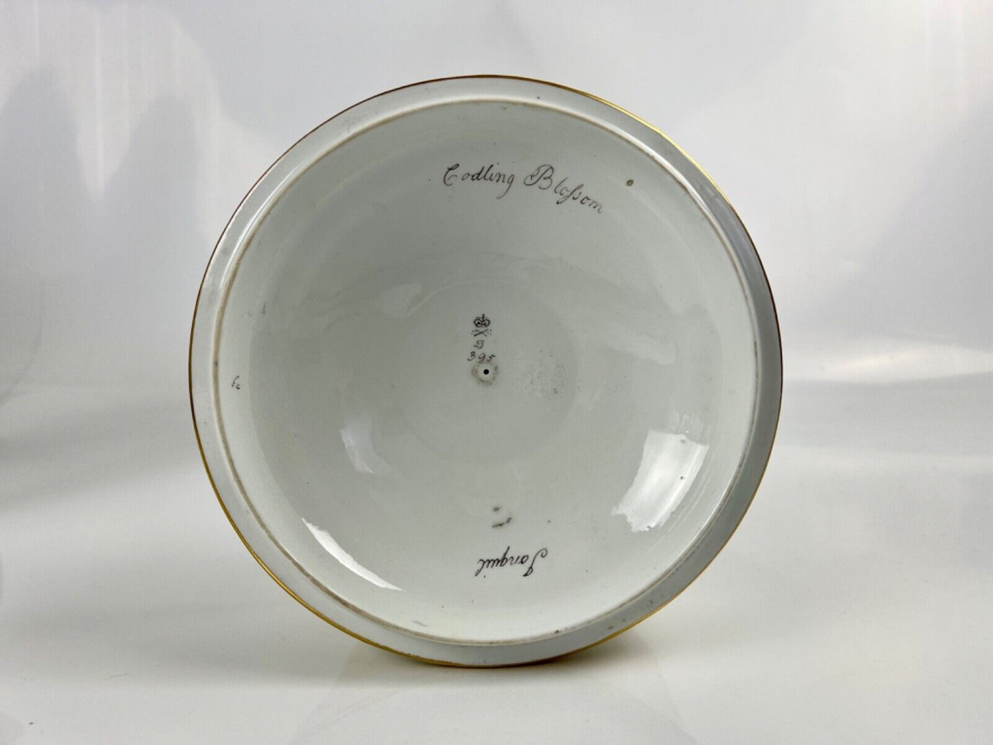 A superb Derby Quaker Pegg pattern 392 botanical painted ice pail. c.1815