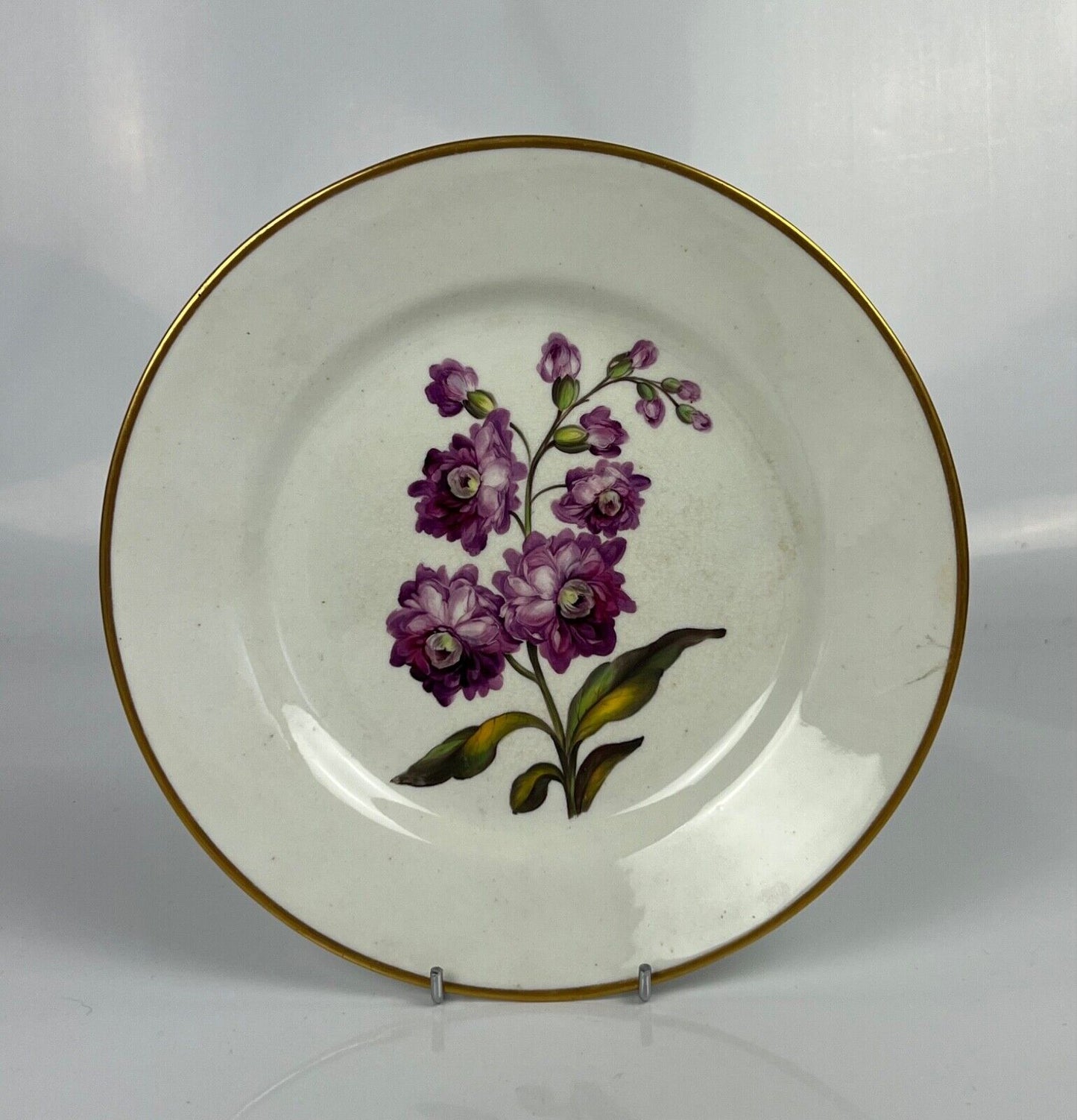 "Quaker" Pegg Derby Botanical Plate With "Purple Tenweeks Stock" Study. c.1815.