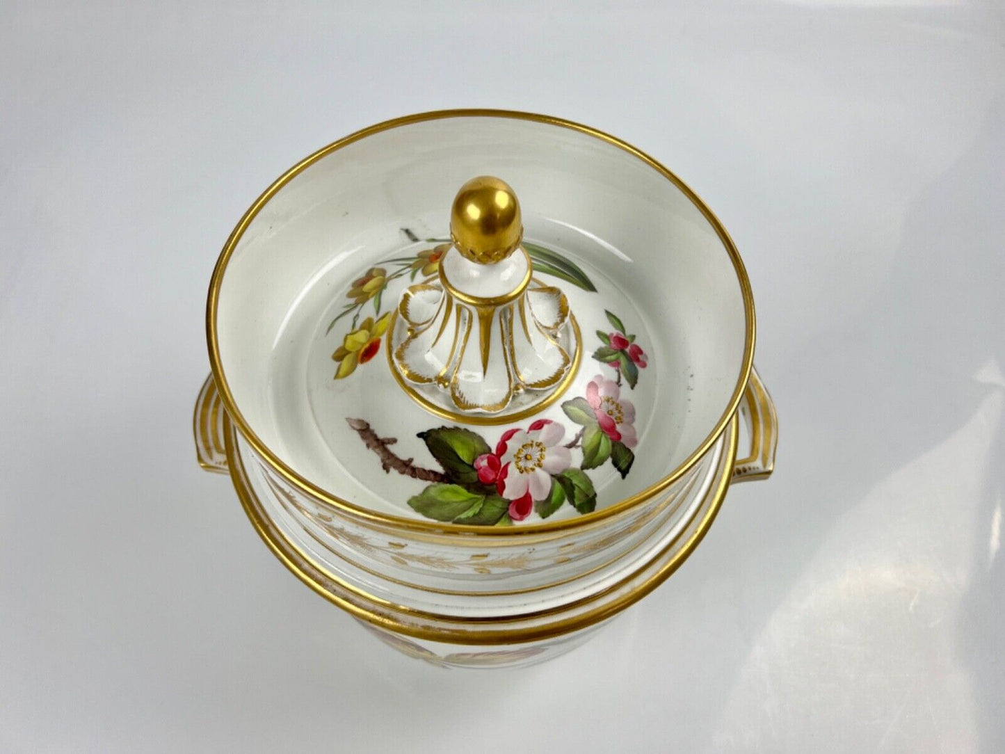 A superb Derby Quaker Pegg pattern 392 botanical painted ice pail. c.1815
