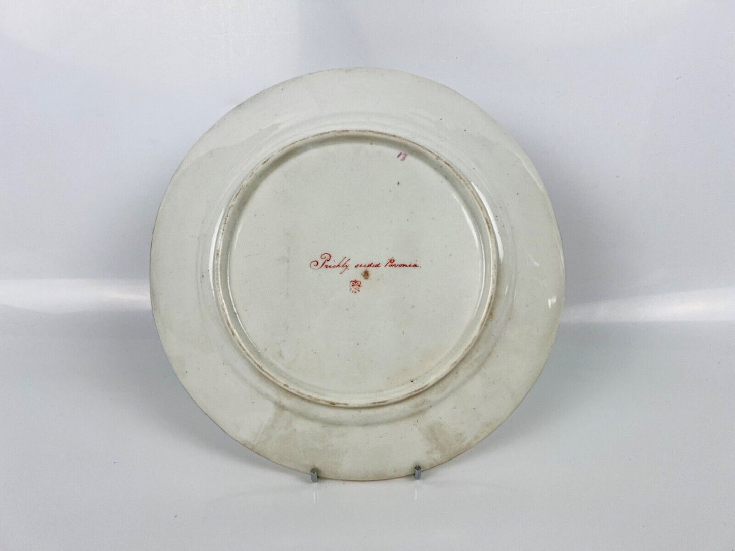 Quaker Pegg Painted Derby Plate With "Prickly Seeded Pavonia" Study. c.1813-15.