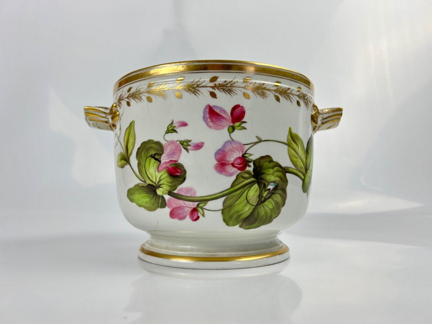 A superb Derby Quaker Pegg pattern 392 botanical painted ice pail. c.1815