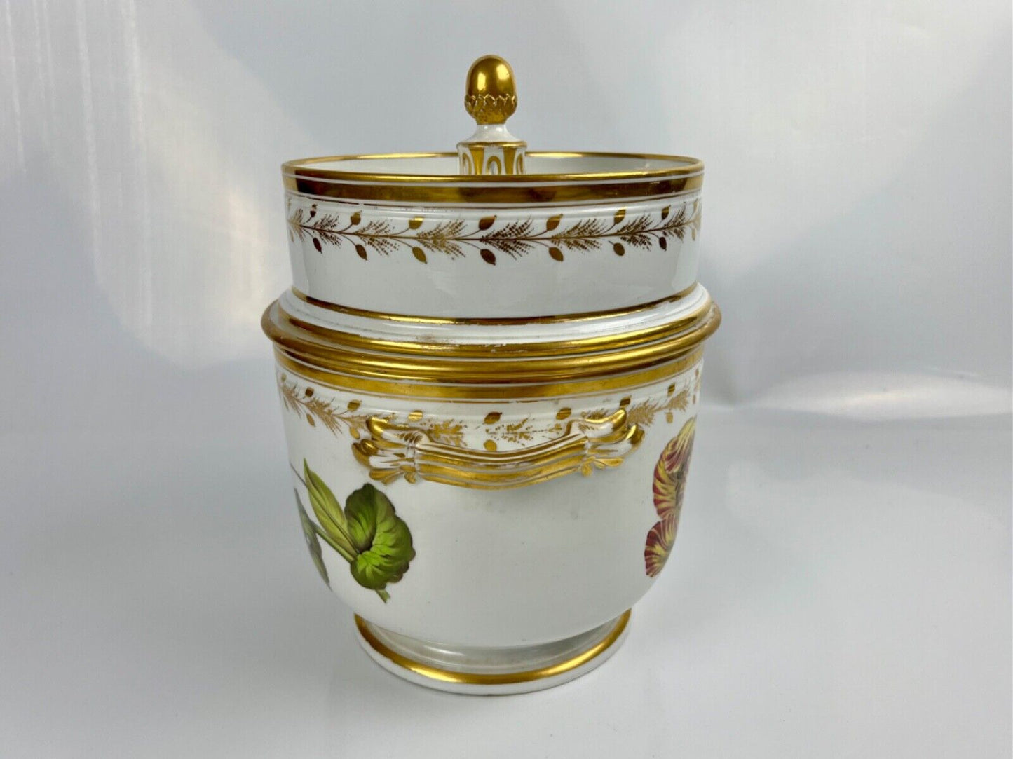A superb Derby Quaker Pegg pattern 392 botanical painted ice pail. c.1815