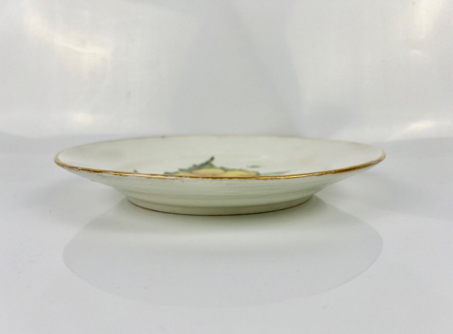 Quaker Pegg Painted Derby Plate With "Prickly Seeded Pavonia" Study. c.1813-15.
