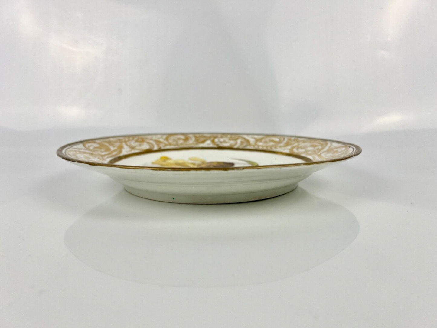 A Superb Quaker Pegg Painted Derby Plate With  "Iris" Study. c.1813-15.