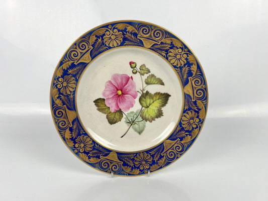 A Superb Quaker Pegg Painted Derby Plate With  "Tulip" Study. c.1813-15.