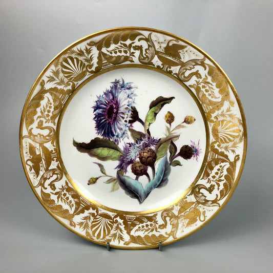 A Quaker Pegg Derby botanical plate with Great Blue-bottle study c.1813-15.