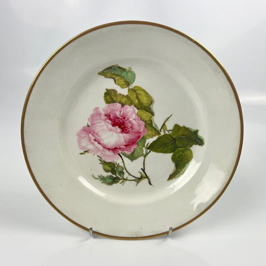 A Quaker Pegg-painted Derby floral botanical plate c.1815