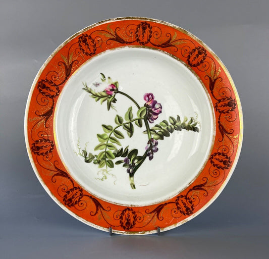 c1800 Derby plate with v unusual border decoration. Curtis Botanical print dec'n