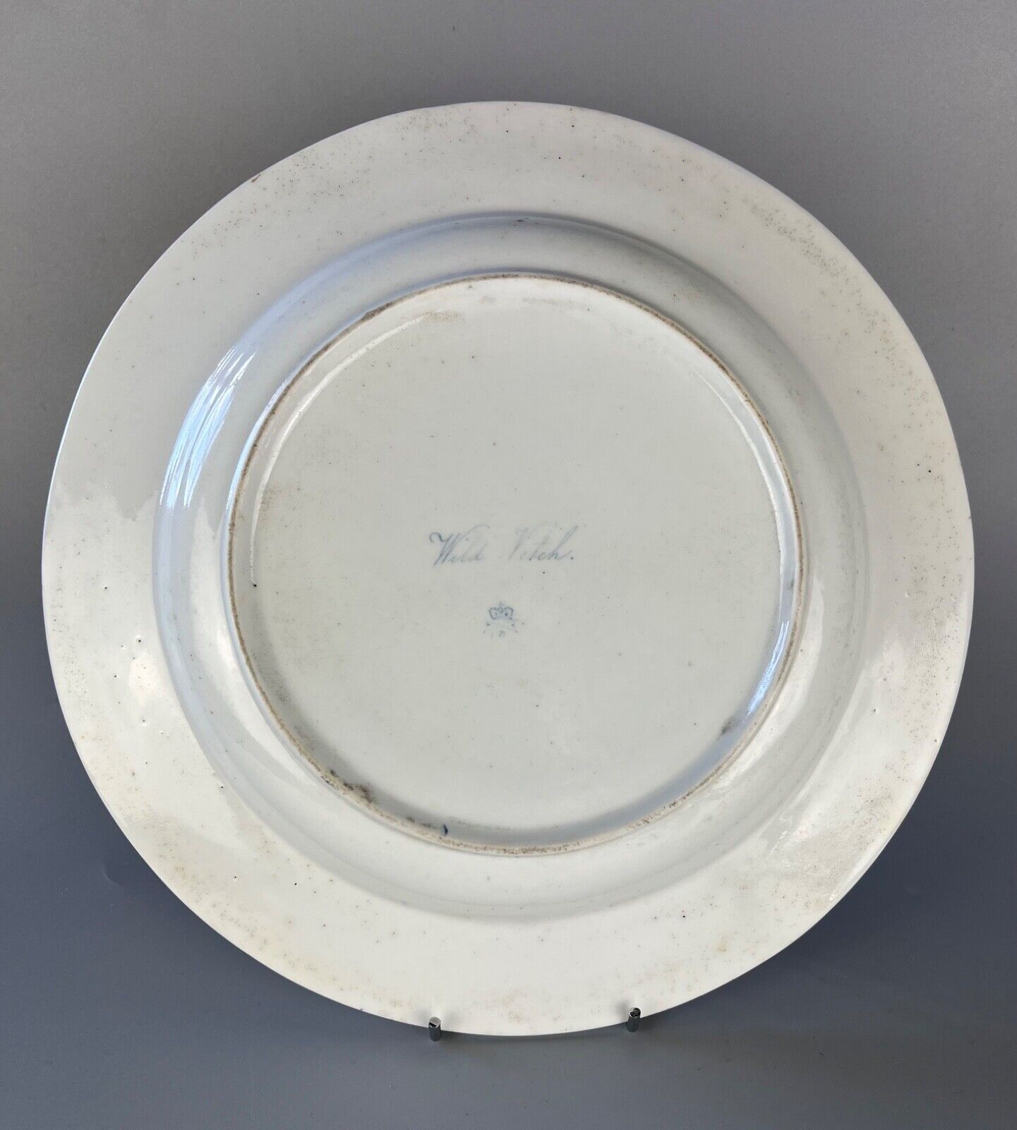 c1800 Derby plate with v unusual border decoration. Curtis Botanical print dec'n